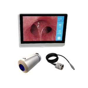 Accesorios Ureteroscopio flexible